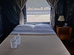 The Camping Field