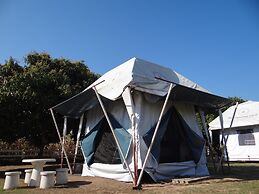 The Camping Field