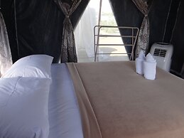 The Camping Field