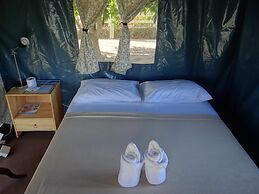 The Camping Field