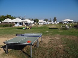 The Camping Field