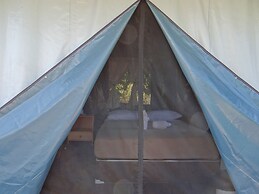 The Camping Field