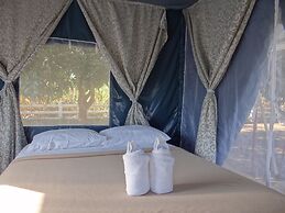The Camping Field