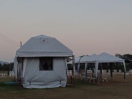 The Camping Field
