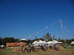 The Camping Field