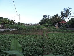 Duana Sari Ubud