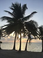 The Palapa House
