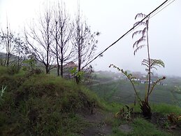 Pondok Wisata Adas