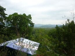 Isla Violin Eco Lodge