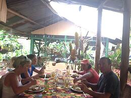 Isla Violin Eco Lodge