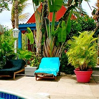 Caribbean Flower Apartments