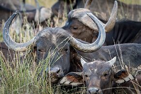 Bushwa Game Lodge