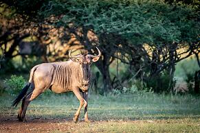 Bushwa Game Lodge