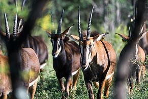 Bushwa Game Lodge