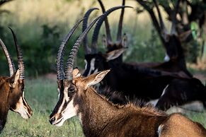 Bushwa Game Lodge