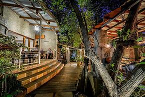 Zebrina Guest House