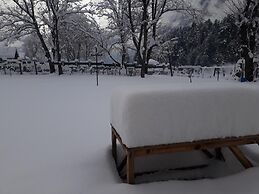 Zebrina Guest House
