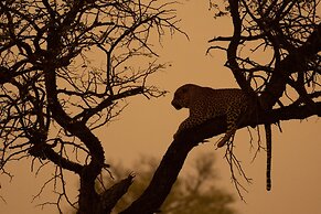 Kambaku River Lodge