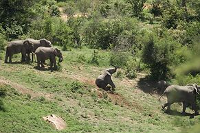 Kambaku River Lodge