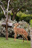 Kambaku River Lodge