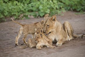 Kambaku River Lodge