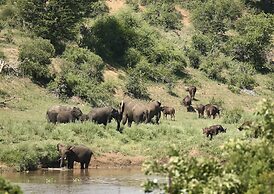 Kambaku River Lodge