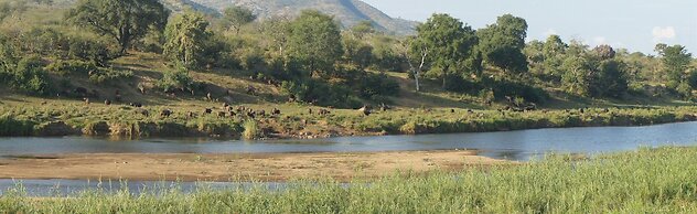 Kambaku River Lodge