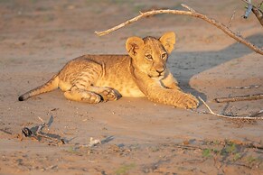 Kambaku River Lodge