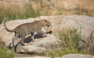 Kambaku River Lodge