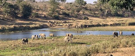 Kambaku River Lodge