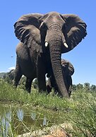 Kambaku River Lodge