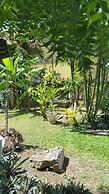 Bananaquit Apartments