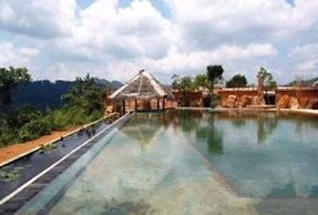 Rainforest Edge
