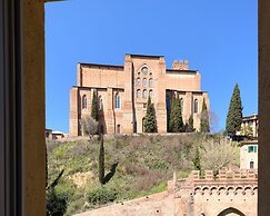 Siena Vip