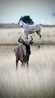 Kwetu Guest Farm