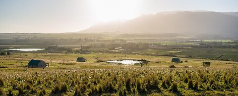 Kwetu Guest Farm