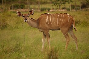 Kwetu Guest Farm