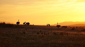 Kwetu Guest Farm