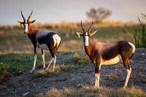 Kwetu Guest Farm