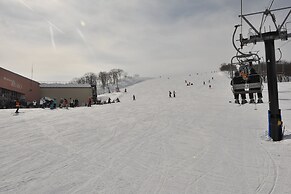Hakuba Park Hotel