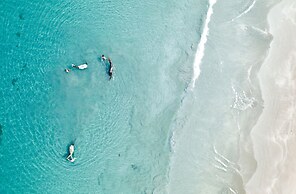 Blue Apple Beach