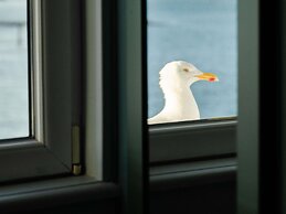 Hotel Mercure Roscoff Bord de Mer