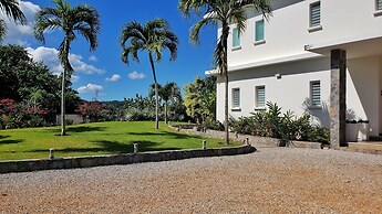 Villa Salamandra