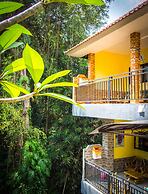 Green View Widia