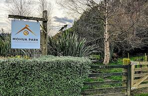 Mohua Park - Catlins Eco Accommodation