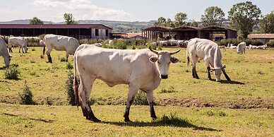 Tenuta la Fratta