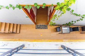 Alaika Maafushi