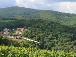 Terrasses D'alsace