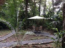 Pachamama Jungle River Lodge