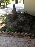 Chief's Guest House
